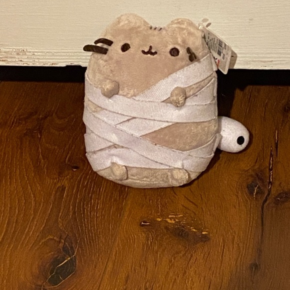 pusheen mummy